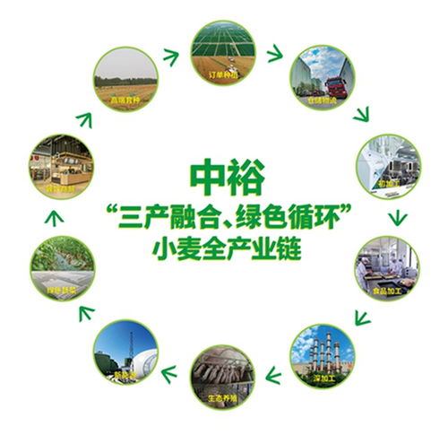 山東濱州 向綠向新，探索餐飲服務業高質量發展新路徑